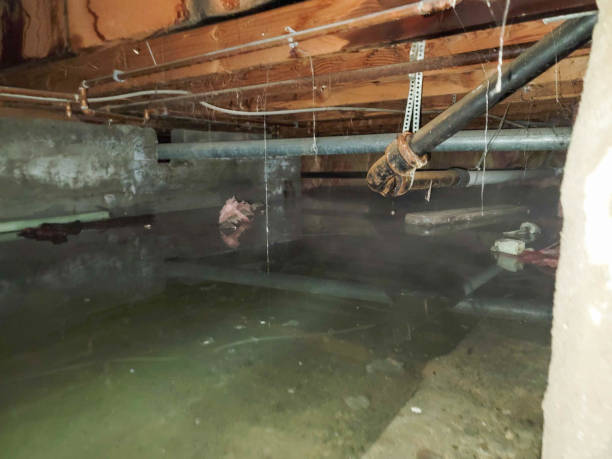 Best Sewage cleanup and water damage restoration  in Innotion, VA