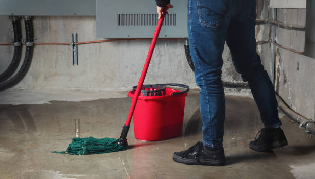 Water damage restoration insurance claims in VA