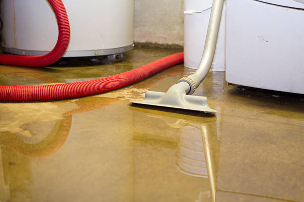 Best 24/7 water damage repair  in Innotion, VA