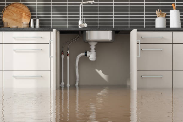 Best Basement water damage restoration  in Innotion, VA