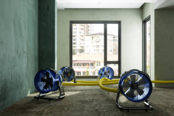 Best Basement water damage restoration  in Innotion, VA